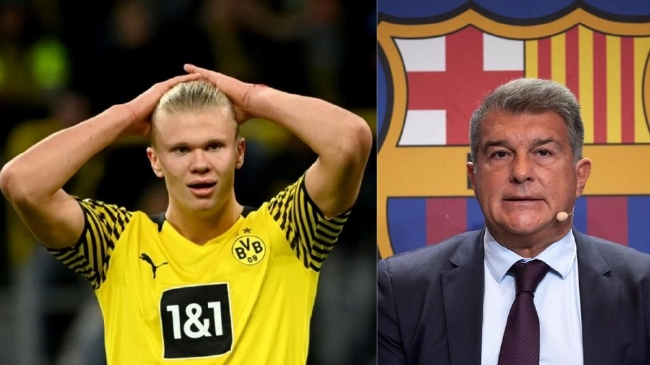 单届世欧预／欧预赛进球榜：哈兰德、莱万16球并列第一